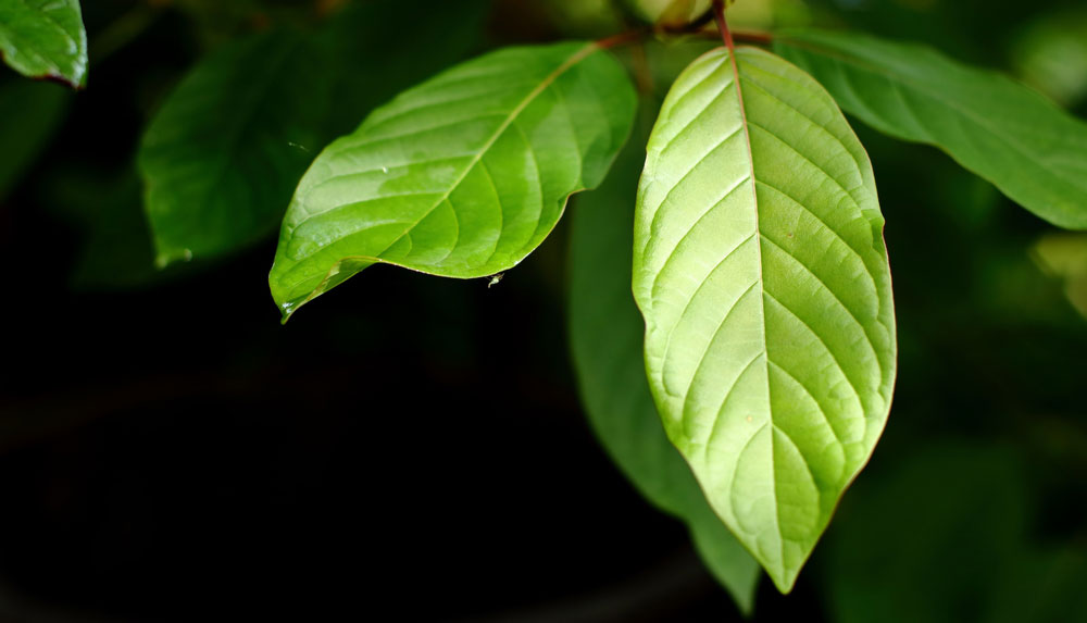 AdobeStock image